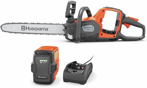 Sun Joe SPX3000 vs Ryobi RY142300 Pressure Washer: Which Ele