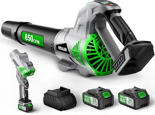 Leaf Blower Cordless with Up to 850 CFM & 250 MPH, Brushless Electric — Side-by-side comparison of top picks in this category