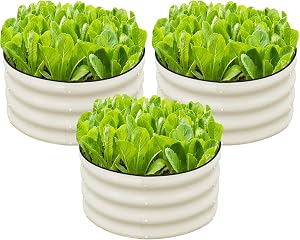 SnugNiture 3 Pcs 2x2x1ft Round Galvanized Raised Garden Bed Kit Outdoor, Metal Planter Box